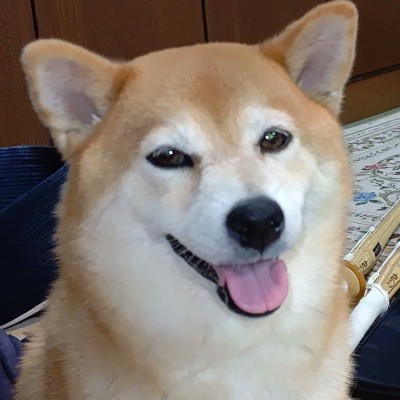 ニコニコ