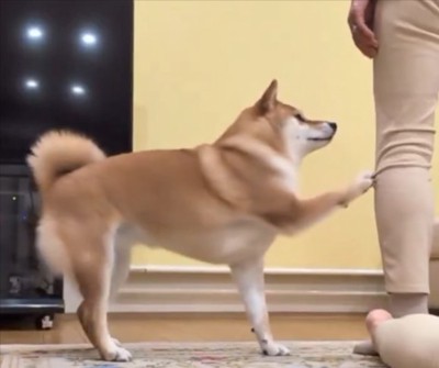 ねぇねぇ
