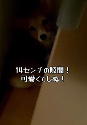 くるっと振り向いています