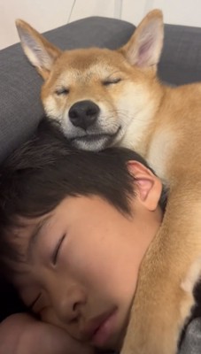 前足を添える犬