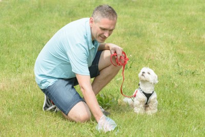 犬のウンチをとる男性