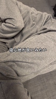 ソファに横たわる人