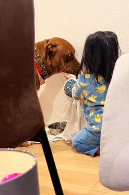 わんこの口を拭く娘さん