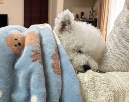 ぐっすり