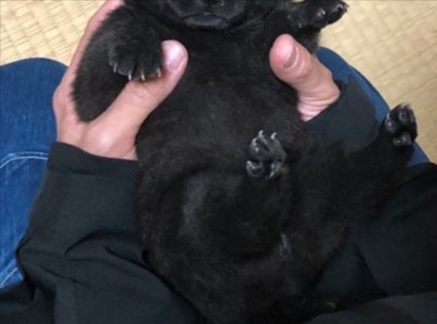 お迎え