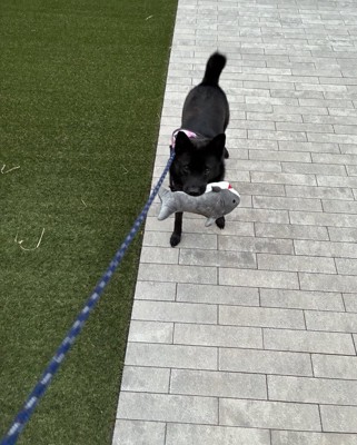ギャップ