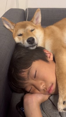 重なって眠る犬と男の子
