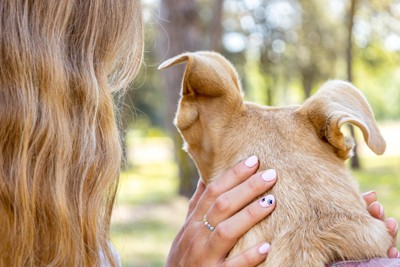 犬の頭を撫でる