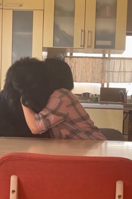 お母さんと真っ黒の超大型犬8