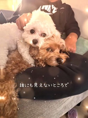 とっても仲良し♡