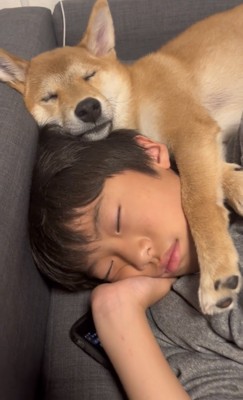 寄り添って眠る犬と男の子