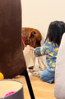 口を拭くわんこ