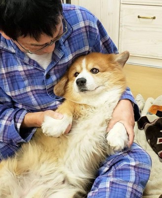 マシュマロ