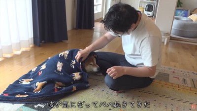 体調を崩した柴犬