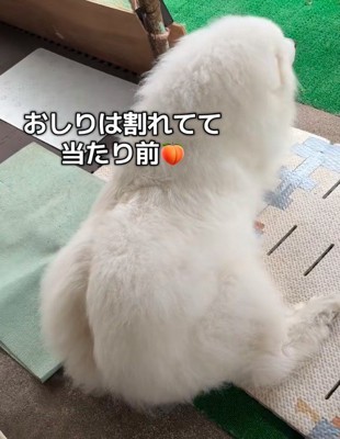 思わず二度見
