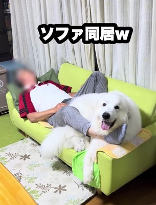 満面の笑みで満足げ