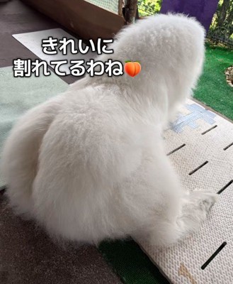 やっぱり桃尻♡