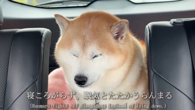 限界に達したような表情