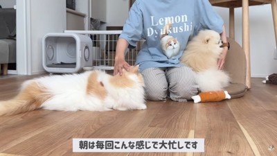 大忙しだけれど幸せ♡