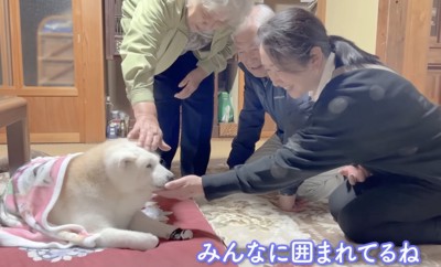 真っ先にあいちゃんの元へ