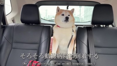 「嫌な予感がする…」