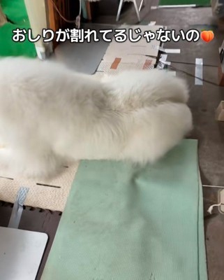 見事な桃尻に！！