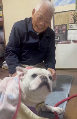 前を見つめる犬