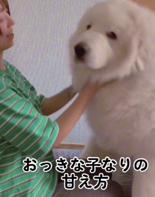 とても甘えん坊