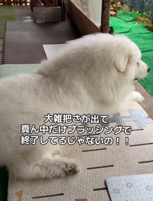 芸術的仕上がり