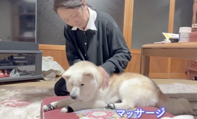 やっぱりみんな一緒がいいよね