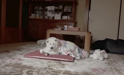 暗くすると、漂う哀愁…