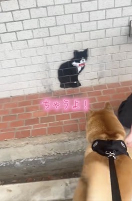 「本物の猫」だと勘違い