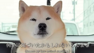 「もしかして…病院…？」