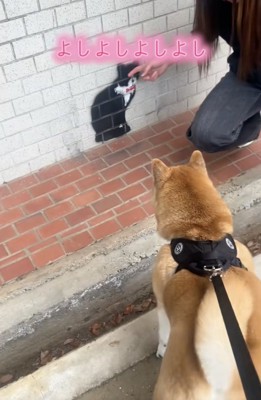 「猫さんだ！」