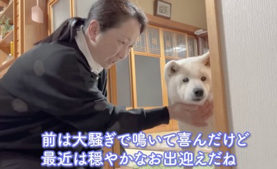 穏やかなお出迎え