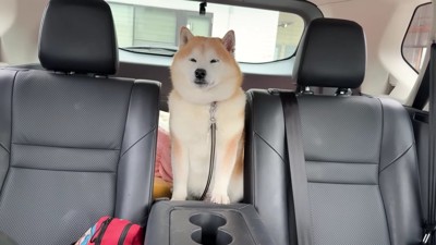 診察を終えたらんまるくん