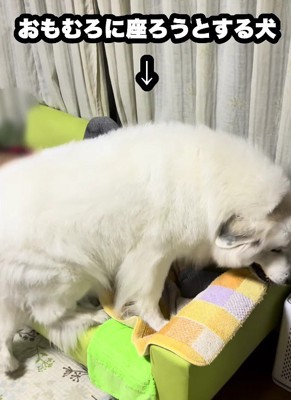 おじいちゃんが寝ているのに…