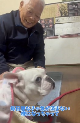 人のそばにいる犬