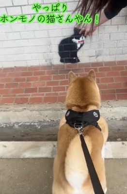 飼い主さんがもう一度ナデナデ