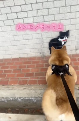 身を乗り出してクンクン