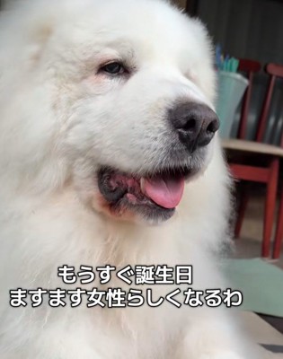 美意識の表れ！？