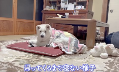 起きて待ってます