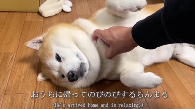 帰宅したらゴキゲンに♪