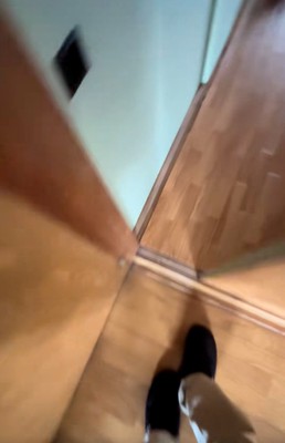 帰宅した飼い主さん