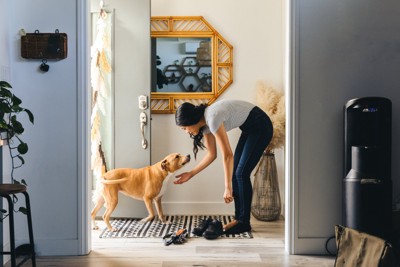 玄関で犬と視線を合わせる女性