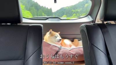 静かに夢の中へ