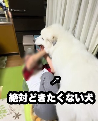 もみあいになるも…