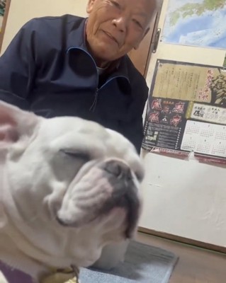 目を細める犬