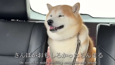 ニコニコ笑顔でご満悦♪