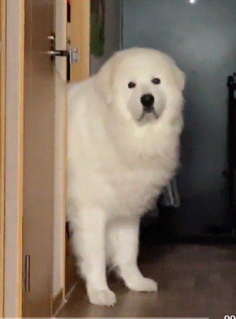 表情豊かな定晴くん